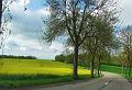 1st Belgian Octagon Tour - dag2 (41)